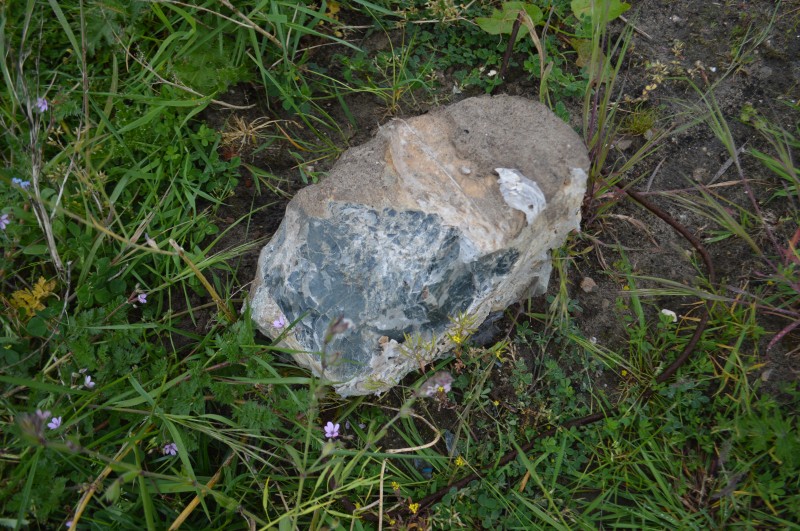 Peculiar rock found in the north west part of the field